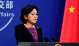 中华新闻热点爆料陈海燕,揭秘中华新闻热点背后的故事