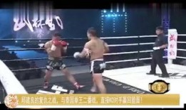 对手 在线观看,在线观看策略全解析