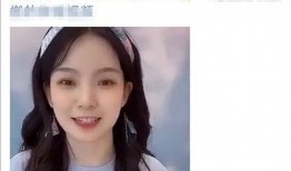 张艺凡爆料全集视频大全,娱乐圈背后的惊人真相