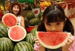 吃瓜视频最全免费,最全免费内容大揭秘，带你领略娱乐新境界