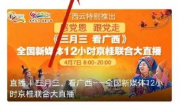 岑溪新闻爆料事件,真相与舆论的交织