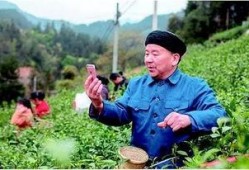 农民网红爆料视频播放