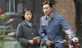 金婚风雨情在线观看,携手走过半个世纪的婚姻传奇