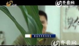 医生爆料最新视频,最新视频揭秘医疗行业黑幕