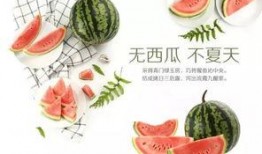 吃瓜王第三季全集免费播放,揭秘娱乐圈风云，免费畅享精彩瞬间