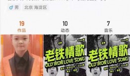 沈阳老舅爆料视频大全最新,揭秘幕后真相，带你领略真实人生百态