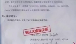 东莞小姑子爆料视频曝光,揭秘家庭矛盾背后的真相