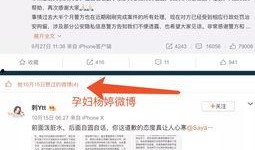 网红视频爆料网站,揭秘幕后真相，带你走进网络舆论场