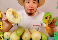 网红瓜在哪儿吃比较好吃,探寻各地美食，解锁最佳品尝攻略