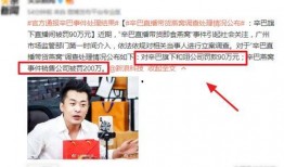 辛巴母亲爆料视频大全集,揭秘辛巴家族背后的真相