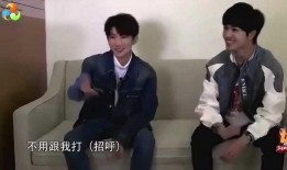 爆笑明星爆料视频大全集,笑料连连，揭秘娱乐圈幕后趣闻