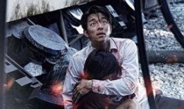 釜山行在线观看国语,丧尸危机下的生死逃亡之旅