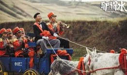 电影驴得水 在线观看,荒诞喜剧中的教育反思与人性探讨