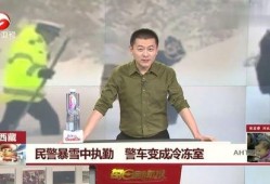 西藏警察爆料视频大全集,真实事件背后的震撼瞬间