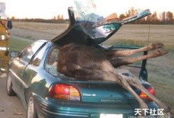 爆料热线车祸新闻最新,细节曝光引关注