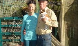 灵荣夫妇爆料新闻最新,揭秘娱乐圈背后的惊人真相！