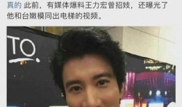 王力宏视频谁爆料的啊,幕后黑手竟是...
