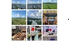 今日德州爆料微博最新,揭秘背后惊人真相！