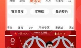 独家爆料川菜视频播放下载,川菜视频播放下载攻略，一网打尽美食秘籍！