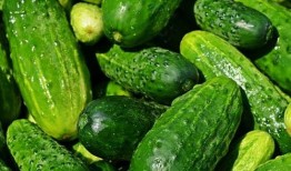 黄瓜农药爆料视频播放大全,黄瓜农药爆料视频全集深度解析