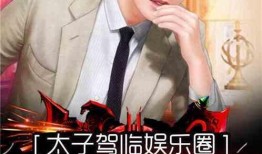 娱乐圈黑白爆料小说,黑白爆料背后的真相揭晓