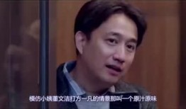 海清爆料父母视频全集播放,全集播放背后的感人故事