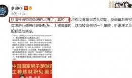 李铁爆料记者是真的吗视频,视频内容深度分析