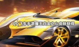 飞车手游最新爆料车皮肤