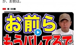 日本爆料社长视频大全,视频大全背后的真相与内幕