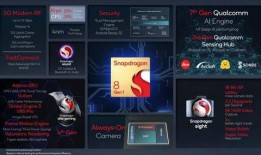 柯基测试爆料视频大全集,揭秘萌犬背后的真实故事