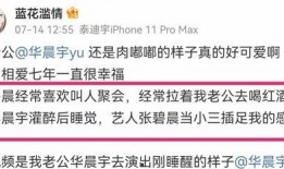 娱乐公司起诉爆料者,起诉爆料者事件全解析