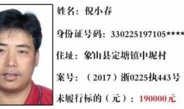 层岩舅最新爆料35,35岁人生新篇章，揭秘不为人知的背后故事