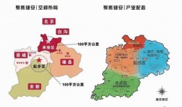 罗沙最新爆料电话是多少,揭秘神秘电话号码背后的秘密