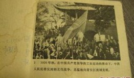 老电影枫树湾在线观看,重温经典，共赴岁月长河的浪漫之旅