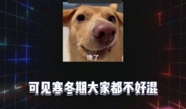 吃瓜 娱乐八卦图片高清,吃瓜群众眼中的娱乐八卦风云录