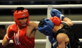 最新拳击爆料新闻事件