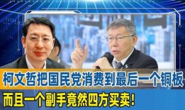 国民党副手候选人爆料视频,内幕曝光，真相令人震惊