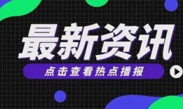 飞哥热门爆料音乐大全视频,揭秘音乐大全背后的精彩故事