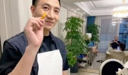 林生斌孩子最新爆料,真相背后令人震惊