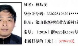 层岩舅最新爆料35,35岁人生新篇章，揭秘不为人知的背后故事