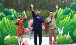 宁南最新事件爆料新闻视频,揭秘视频爆料背后的真相