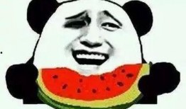 娱乐吃瓜菌子,揭秘娱乐圈那些不为人知的幕后故事