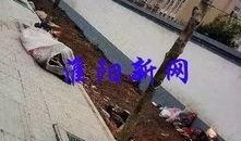 滨河院子淮阳爆料视频,揭秘项目背后的真实情况