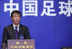 中国足协最新爆料,揭秘足球改革新动向
