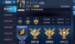 国服皮肤爆料最新消息,最新消息揭示神秘英雄新装