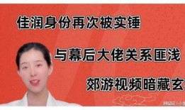 佳润最新爆料视频播放网站,揭秘视频播放网站幕后真相