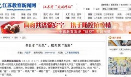 新闻爆料冬天的暖阳,温暖人心的阳光时刻