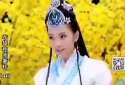 布袋和尚新传在线观看全集,笑看人生，智慧传承