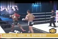 对手 在线观看,在线观看策略全解析
