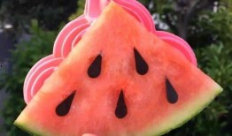 射阳网红吃瓜,揭秘幕后故事与热门话题